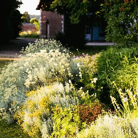 Nocleg ze śniadaniem Le Chateau De Bonnemare -