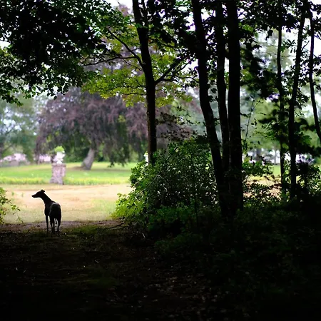 Nocleg ze śniadaniem Le Chateau De Bonnemare -