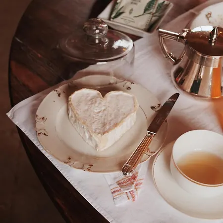 Nocleg ze śniadaniem Le Chateau De Bonnemare - 3*